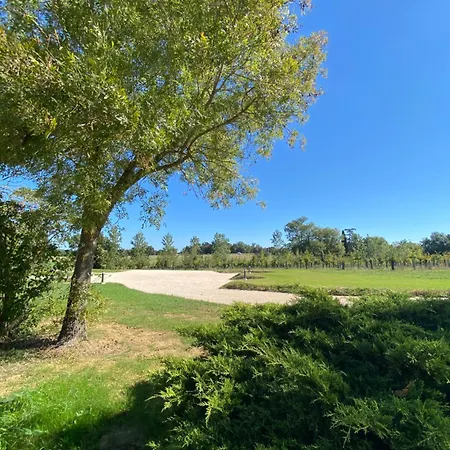 Clara - Domaine Du Catalan * Aubiet